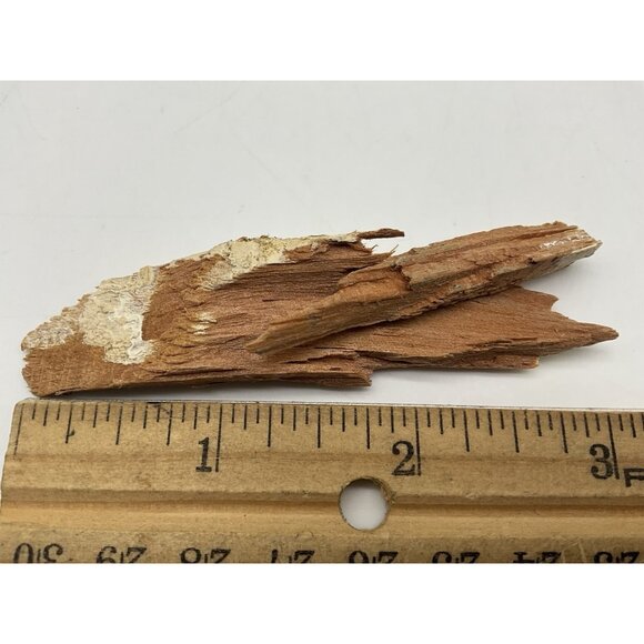 1960 Rose Bowl  Pieces Of Goal Post Torn Down By The Washington Husky Fans - Picture 9 of 11